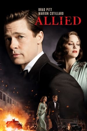 Allied 2016 Dual Audio | Dubbed Hindi Movie BluRay [1.3GB]