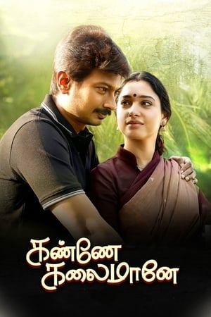 Kanne Kalaimaane 2019 ( - Tamil) Dual Audio | Dubbed Hindi Movie UnCut HDRip 450MB