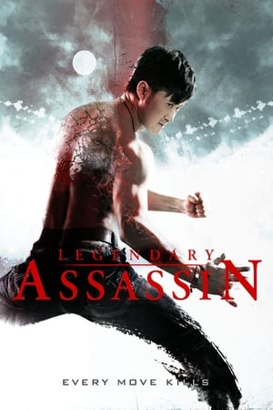 Legendary Assassin (2008) Dual Audio | Dubbed Hindi Movie BluRay 300MB