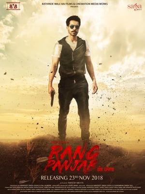 Rang Panjab (2018) Punjabi Movie | Dubbed Hindi Movie HDRip x264 [1GB]